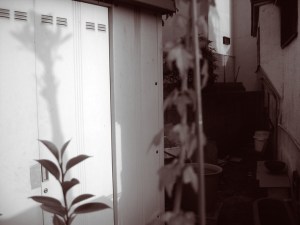 09_luckett_suginami18