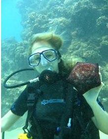 camera-hawaii-taiwan