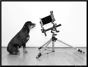 BeauWista03-11-11-1s