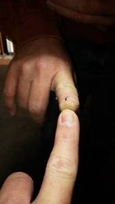 tumblr_mz03gz1EFe1slcc4qo1_400