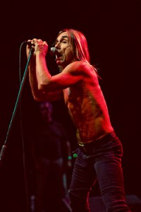 tumblr_mqxdbrwNek1qbhf1yo1_250