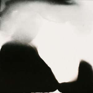 6a00d834525e1869e2010534b4a7fa970c-800wi