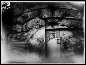 936678_758867610887888_6016524198773979656_n