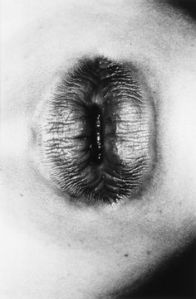 78ca7b72bbbcaa92281262c53a212b8a